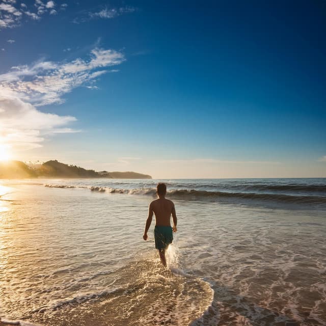 The Peaceful Orchestra: A Symphony For Pure Relaxation - Calming Music Symphony