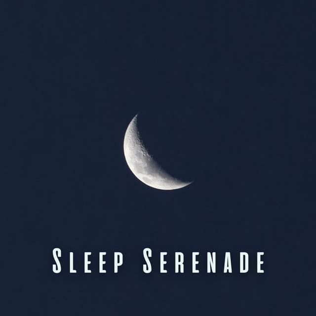 Sleep Serenade: Meditation Sounds for Blissful Slumber - Pure Meditation Music