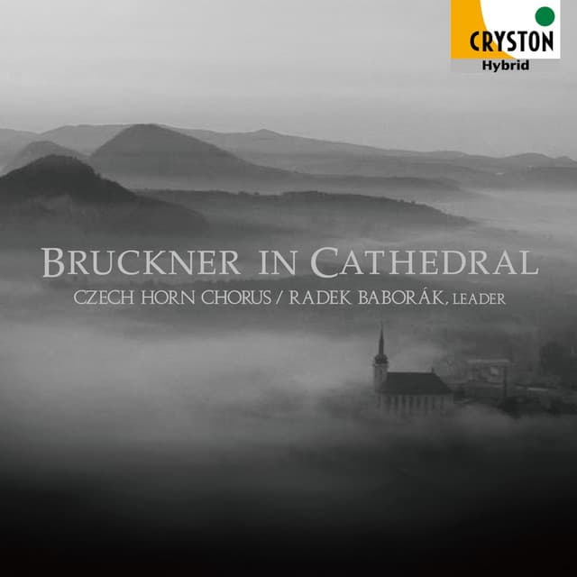 Bruckner in Cathedral - Anton Bruckner