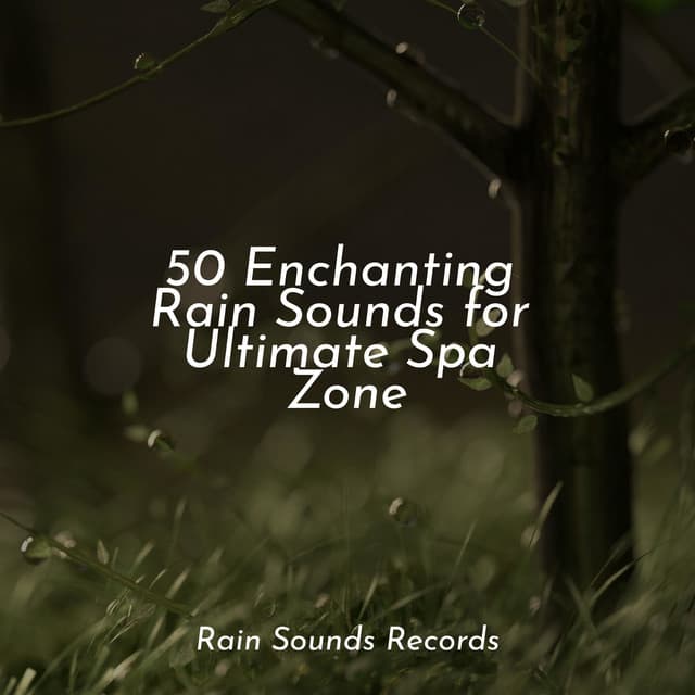 50 Enchanting Rain Sounds for Ultimate Spa Zone - Japanese Relaxation and Meditation