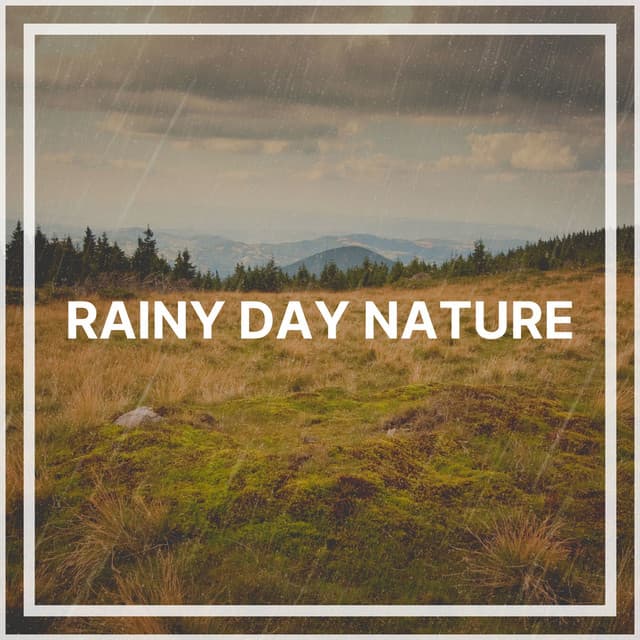Rainy Day Nature - The Sound Of The Rain