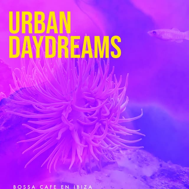 Urban Daydreams - Bossa Cafe en Ibiza