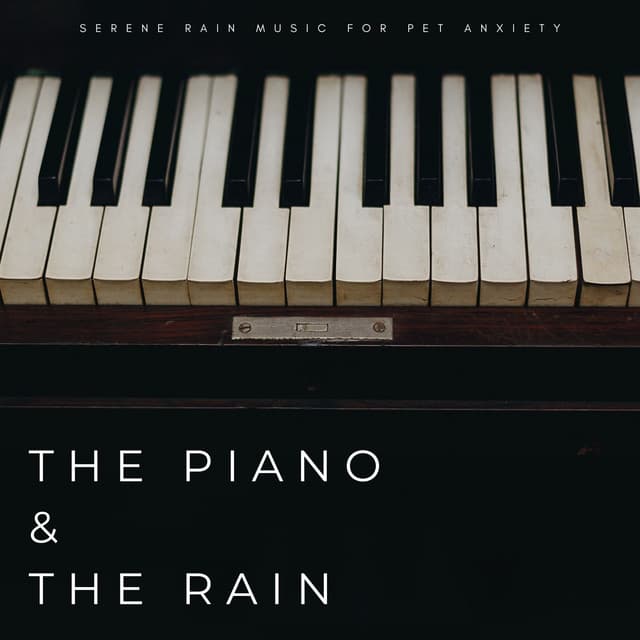 The Piano & The Rain: Serene Rain Music For Pet Anxiety - Dog Calming Music
