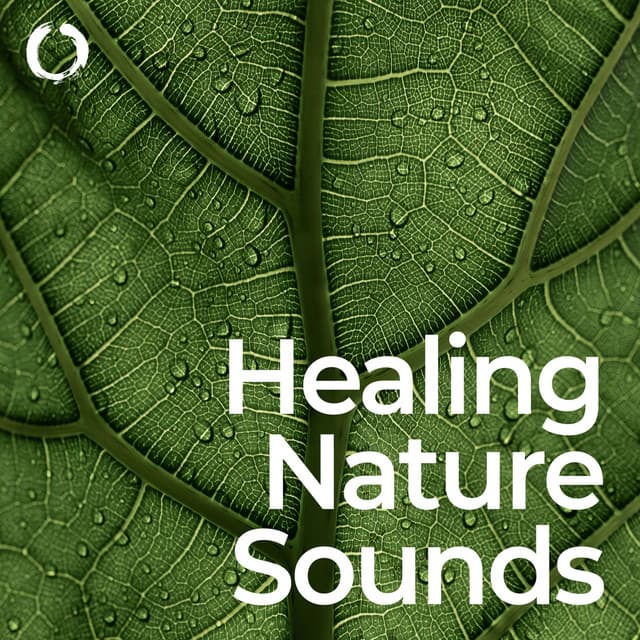 Healing Nature Sounds: Relaxation and Sleep - Healing Meditation Zone & Pure Spa Massage Music & Serenity Music Relaxation