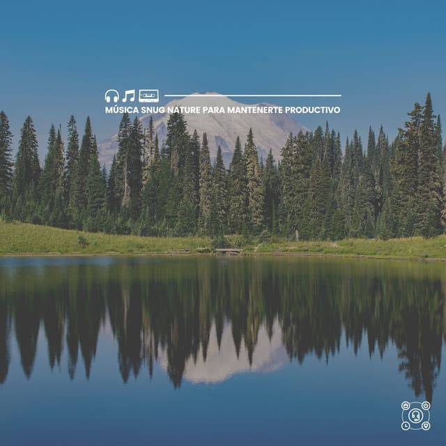 Música Snug Nature para Mantenerte Productivo - Sonidos de la Naturaleza para Dormir