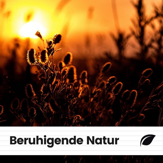 Beruhigende Natur - Naturgeräusche