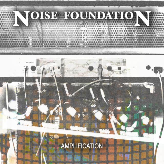 Amplification - Noise Foundation