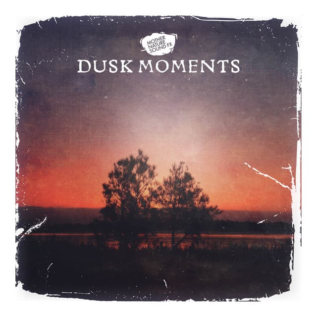 Dusk Moments - Mother Nature Sound FX
