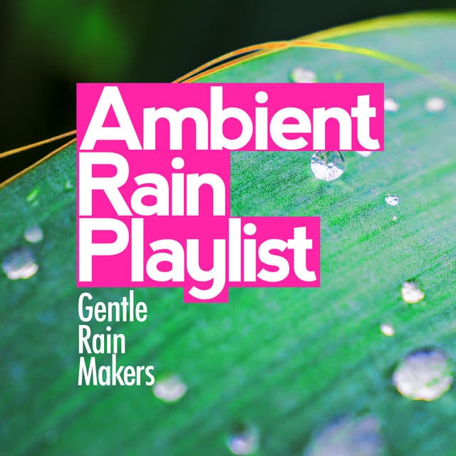Ambient Rain Playlist - Gentle Rain Makers