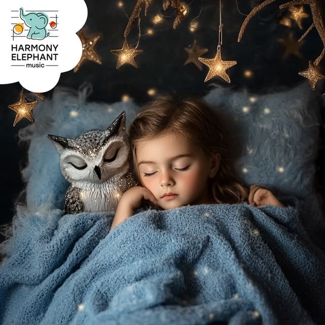 The Night Owl’s Secret Songs - Sleep My Child