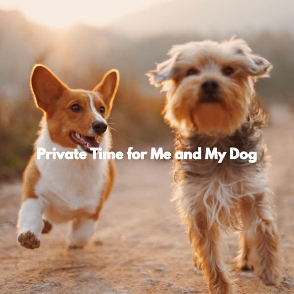 Private Time for Me and My Dog - Sleep Jazz