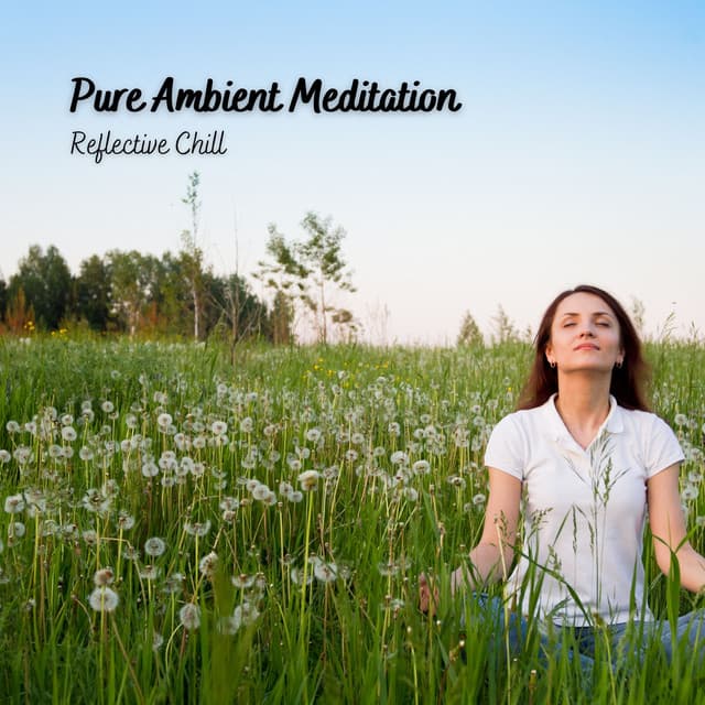 Pure Ambient Meditation: Reflective Chill - Relaxing Mindfulness Meditation Relaxation Maestro