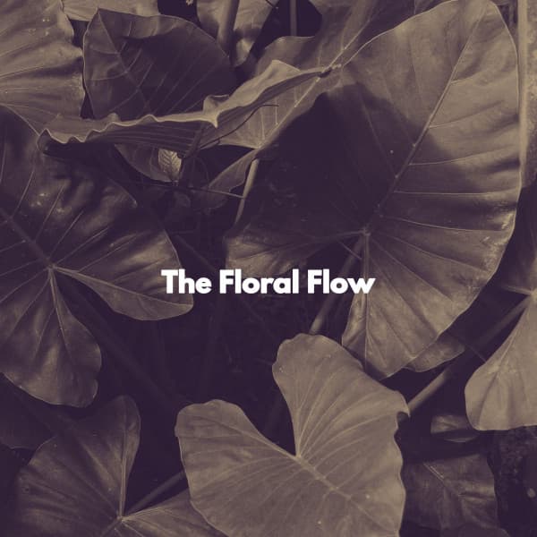 The Floral Flow - Cool Instrumental Jazz Collective