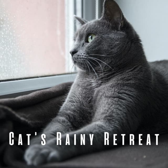 Cat's Rainy Retreat: Binaural Sounds for Stress Relief - April Shower