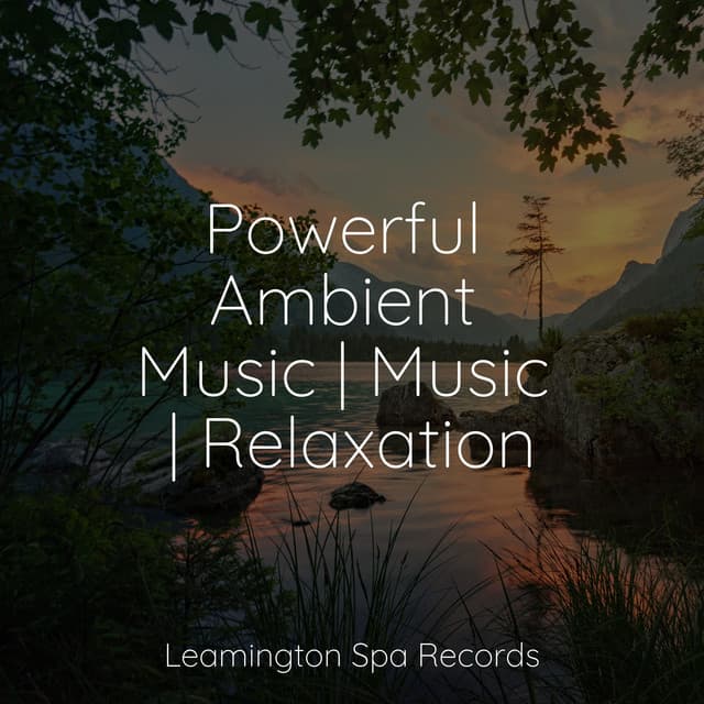 Powerful Ambient Music | Music | Relaxation - Sons da Natureza Relax