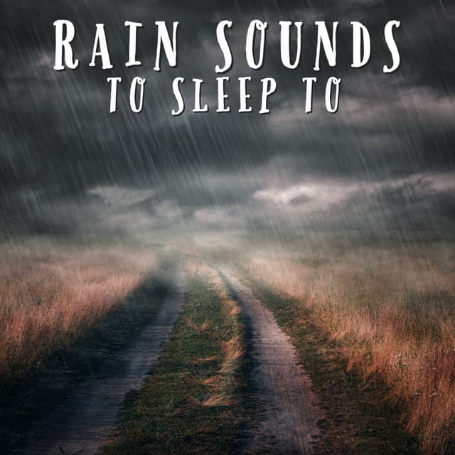 Rain Sounds To Sleep To - Natural Sample Makers