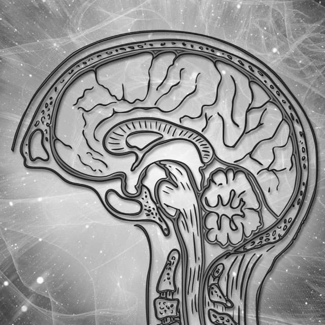 Beta Waves - Brainwave Music Architect