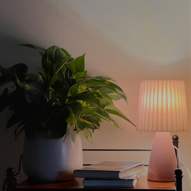 365 Reflections: A Timeless Pulse - Spa Music Relaxation