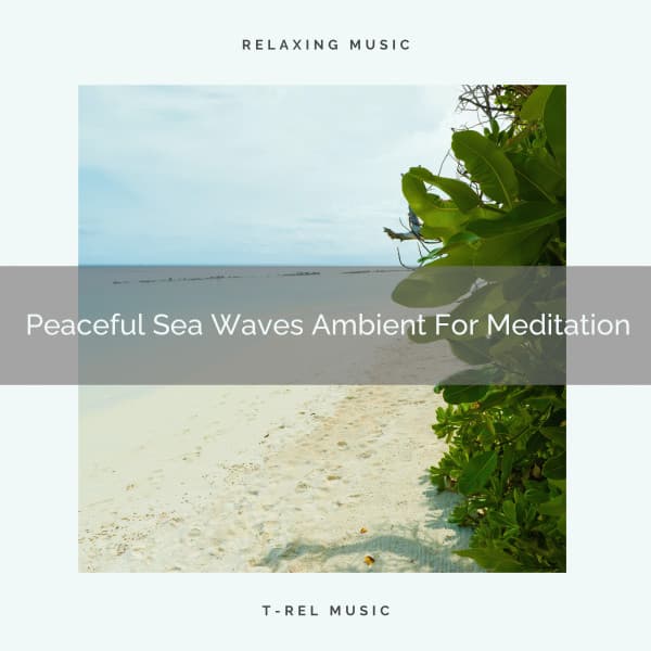 Peaceful Sea Waves Ambient For Meditation - Perfect Meditation
