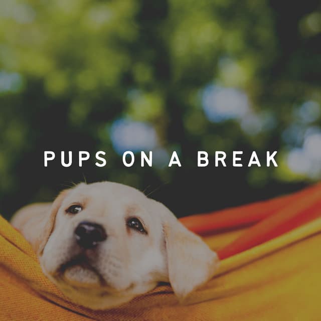 Pups on a Break - Relax My Dog Music