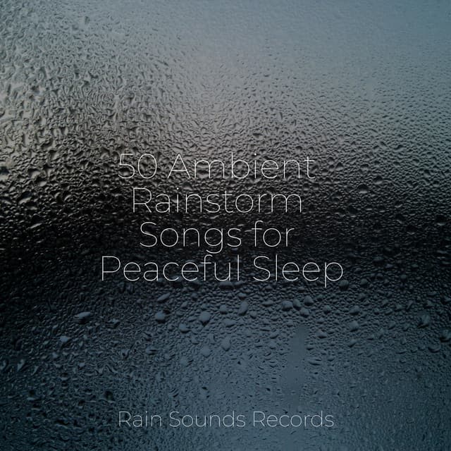 50 Ambient Rainstorm Songs for Peaceful Sleep - Forest Sounds