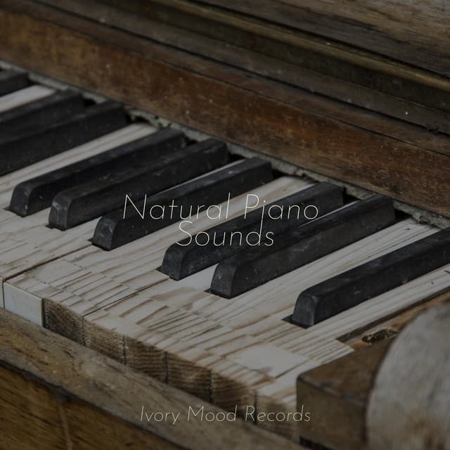 Natural Piano Sounds - Piano Pianissimo