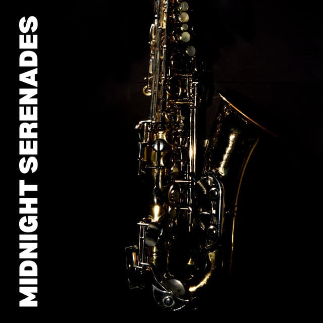 Midnight Serenades - Study Jazz