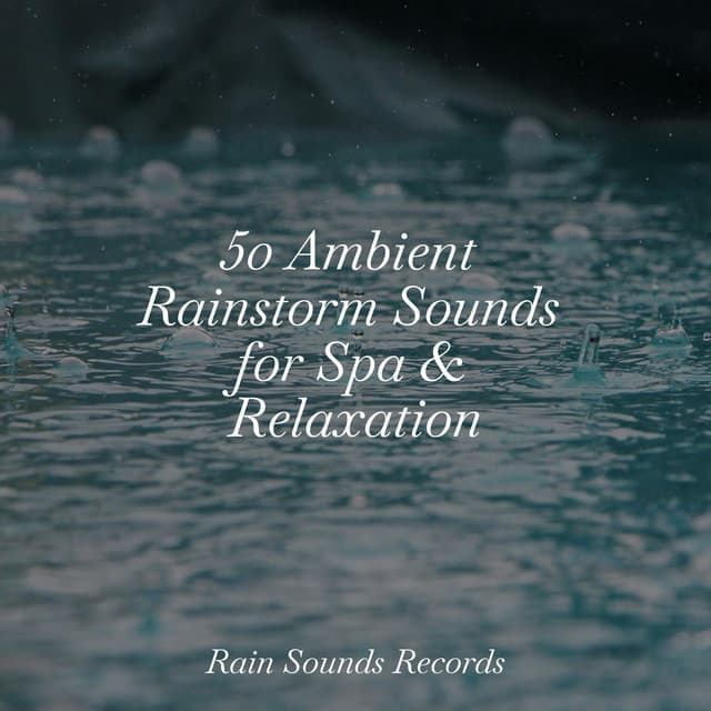 50 Ambient Rainstorm Sounds for Spa & Relaxation - Ocean Sounds