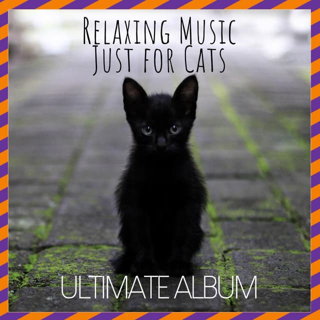Relaxing Music Just for Cats: Ultimate Album - RelaxMyCat