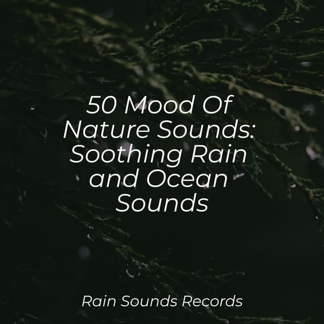 50 Mood Of Nature Sounds: Soothing Rain and Ocean Sounds - Lightning, Thunder and Rain Storm