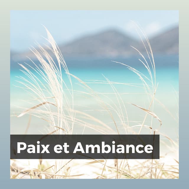 Paix et Ambiance - Música Ambiente