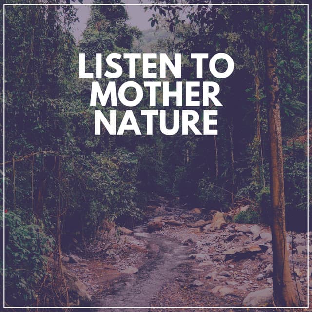 Listen to Mother Nature - Forest Soundscapes