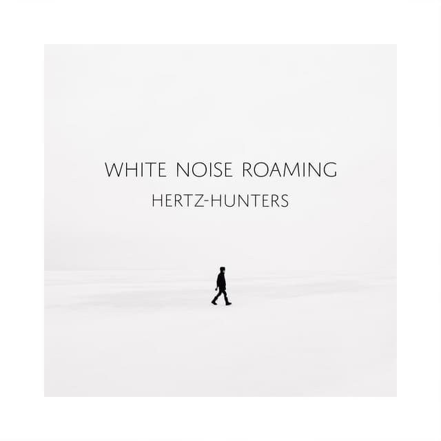 White Noise Roaming - Hertz-Hunters