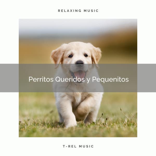 2021 Perritos Queridos y Pequenitos - Música Relajante para Perros