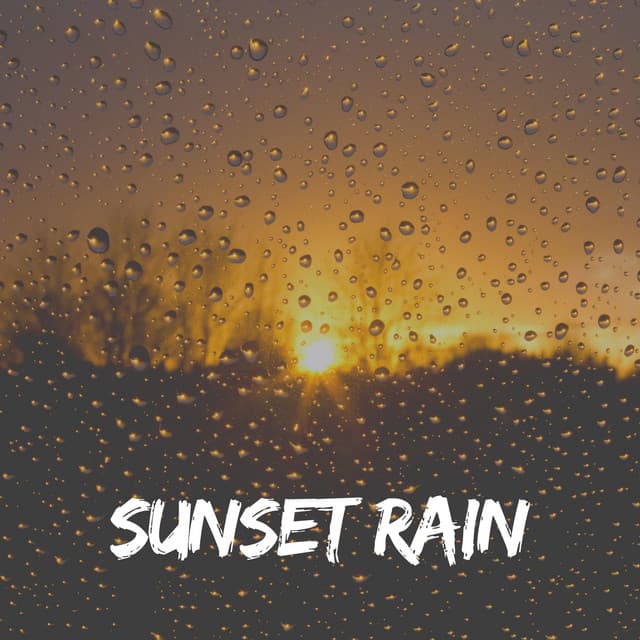 Sunset Rain - Sample Rain Library
