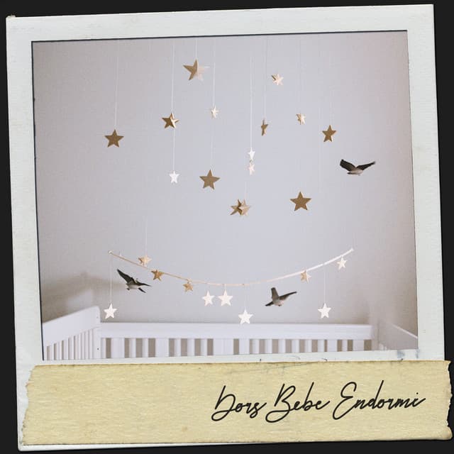 Dors Bébé Endormi : Berceuses de Rêve pour une Nuit Paisible - Dog Relaxation