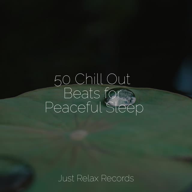 50 Chill Out Beats for Peaceful Sleep - Sonidos De Lluvia y Tormentas