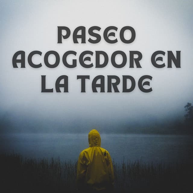 Paseo Acogedor En La Tarde - Estado de distracción