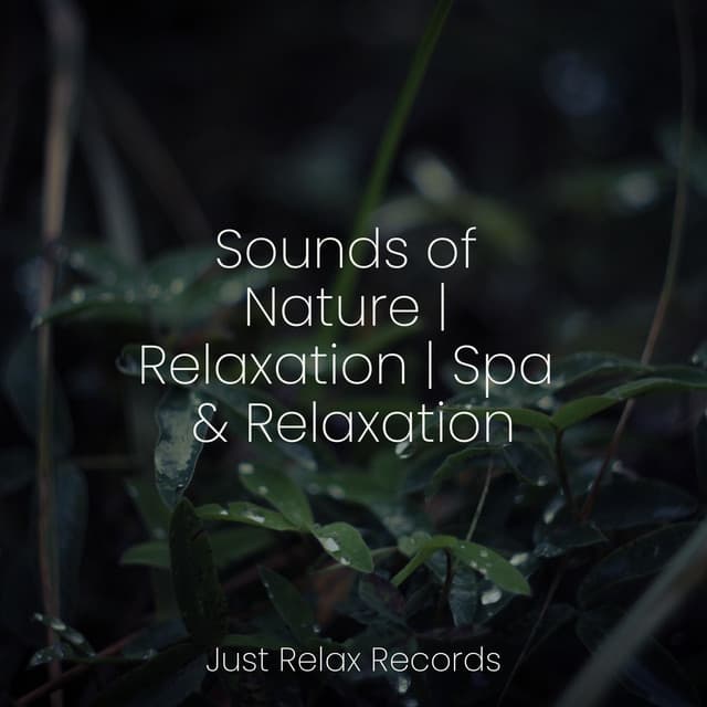 Sounds of Nature | Relaxation | Spa & Relaxation - Ambient