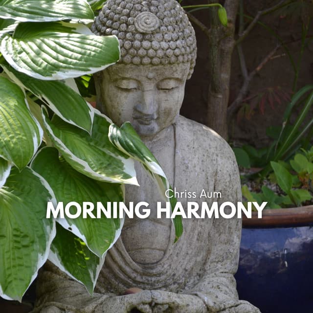 Morning Harmony of the Mind: Awakening in the First Rays - Chriss Aum