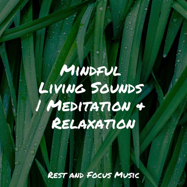 Mindful Living Sounds | Meditation & Relaxation - White Noise For Baby Sleep