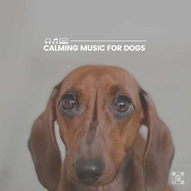 Calming Music for Dogs - Dog Music