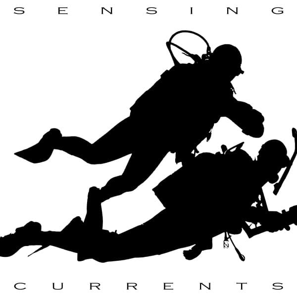 Sensing Currents - Sundays By The Ocean