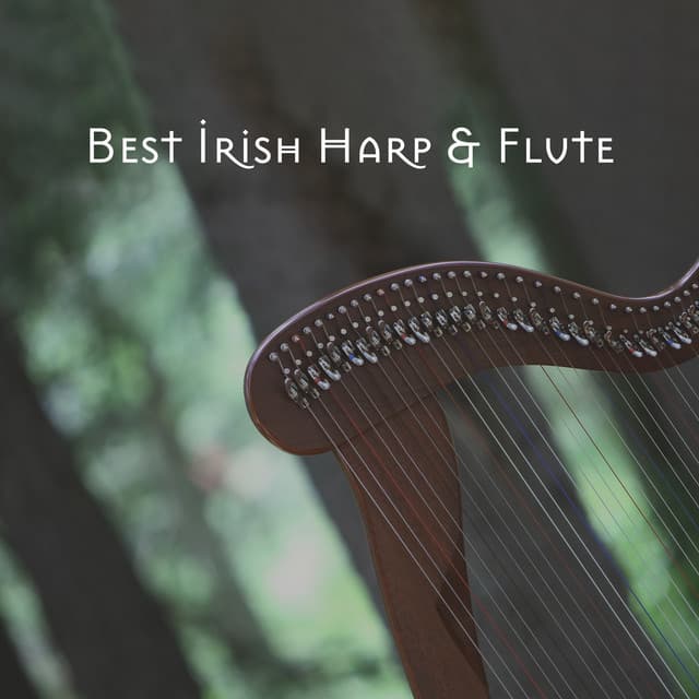Best Irish Harp & Flute: Celtic Spa & Relaxation, Tranquil Spirit, Instrumental Celtic Songs, Soft Background Music for Stress Relief - Nawang Dautar