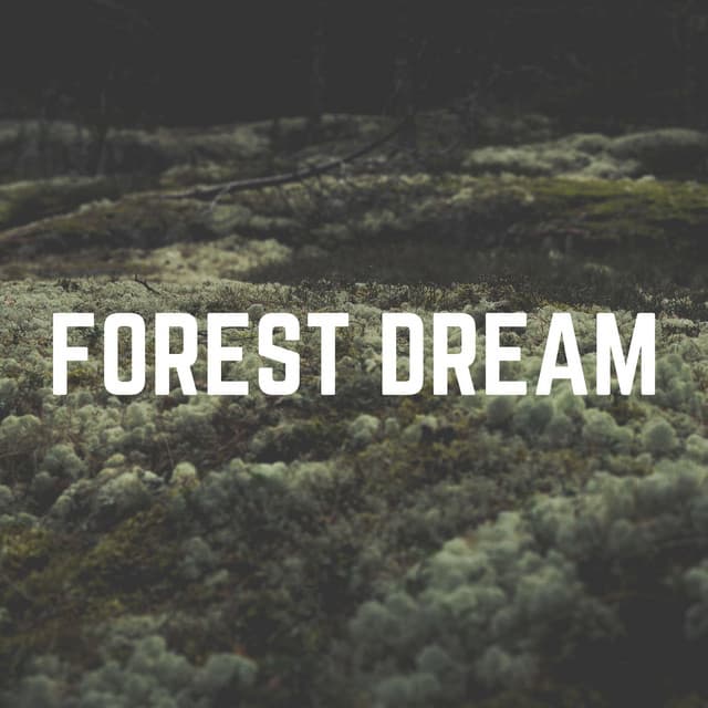 Forest Dream - The Nature Soundscapes