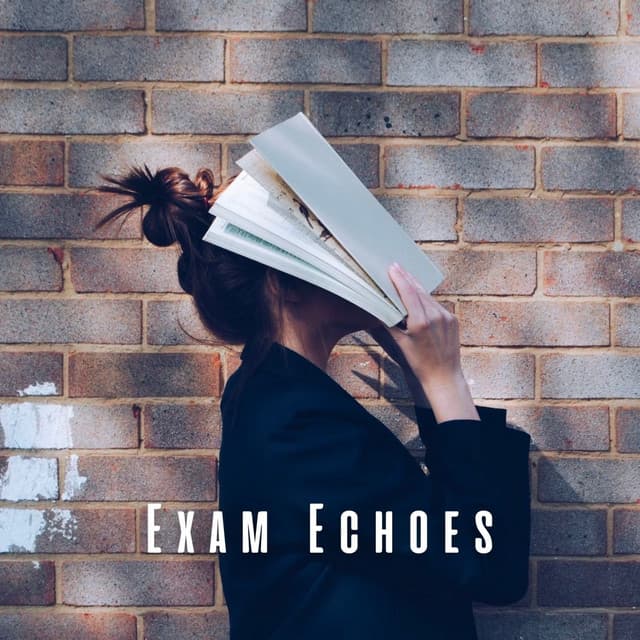 Exam Echoes: Piano Study Tracks - Exam Study Classical Music