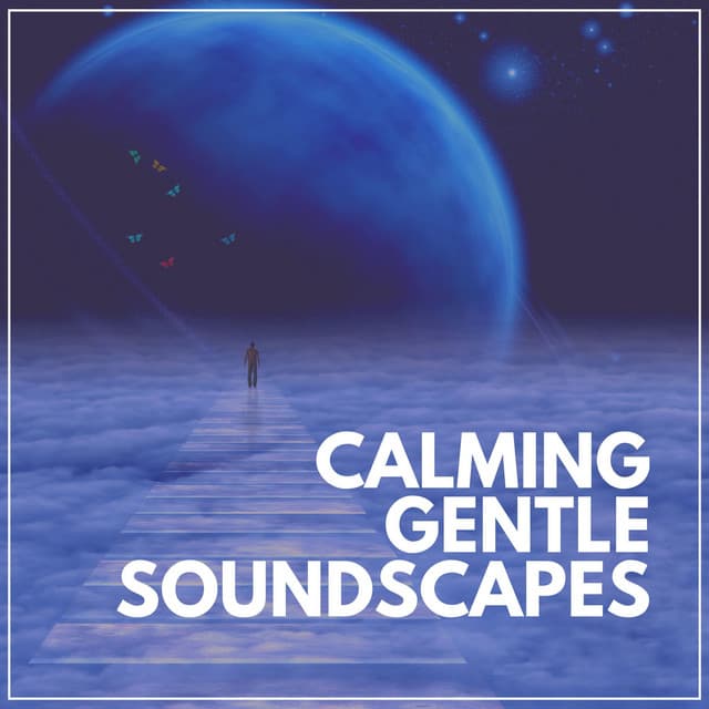 Calming Gentle Soundscapes - Background Music Specialists