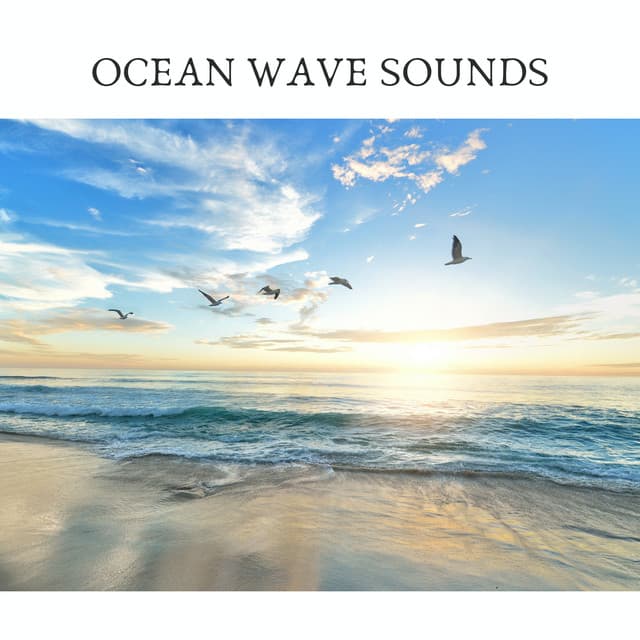Ocean Wave Sounds - ASMR Earth