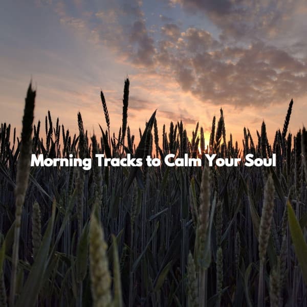 Morning Tracks to Calm Your Soul - Easy Listening Jazz