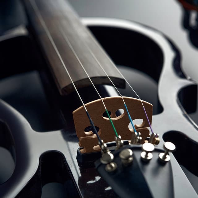 Orchestra for Peaceful Yoga Moments - Jason Humphries